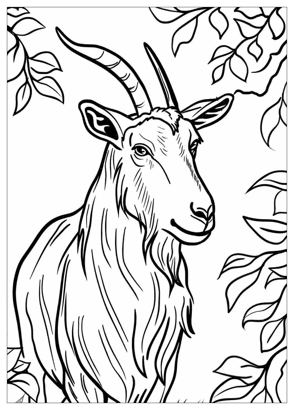 Goat Coloring Pages-5