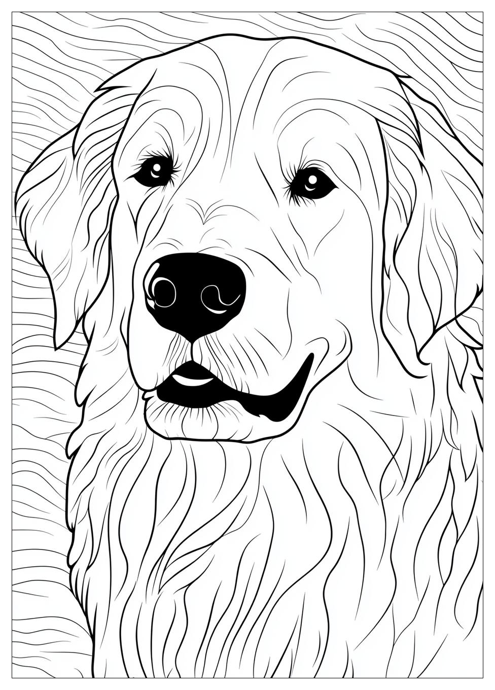 Golden Retriever Coloring Page-1