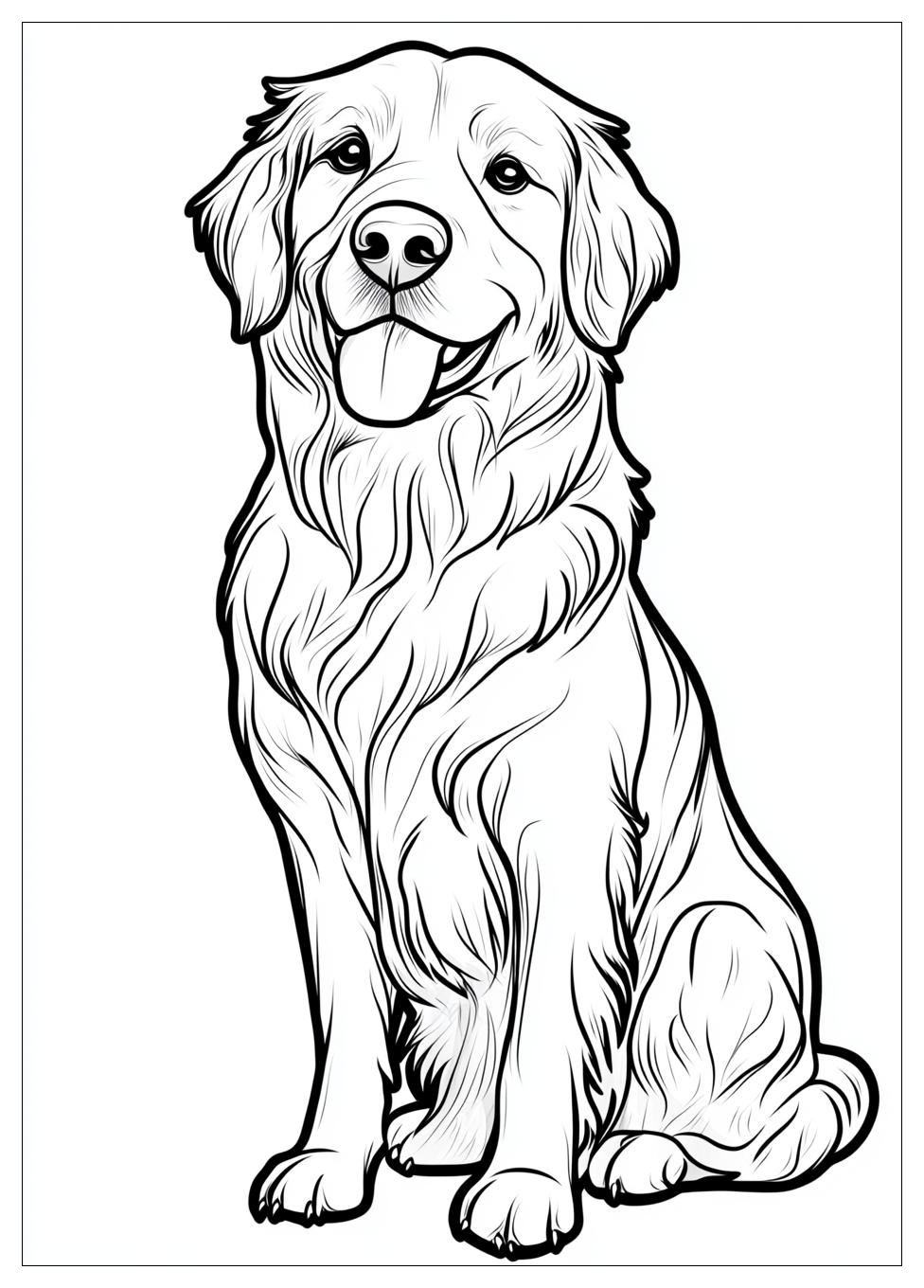Golden Retriever Coloring Page-10