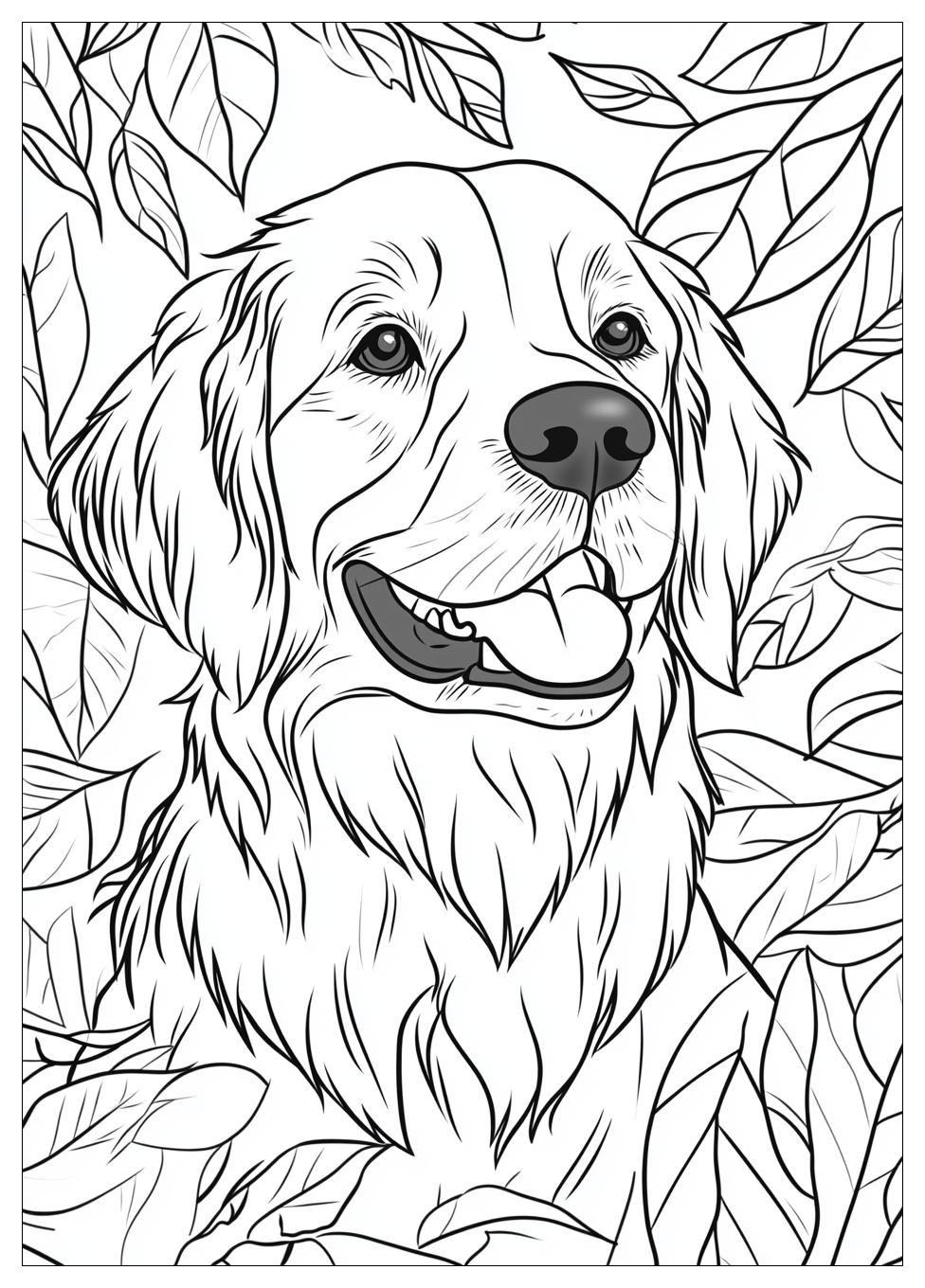 Golden Retriever Coloring Page-11