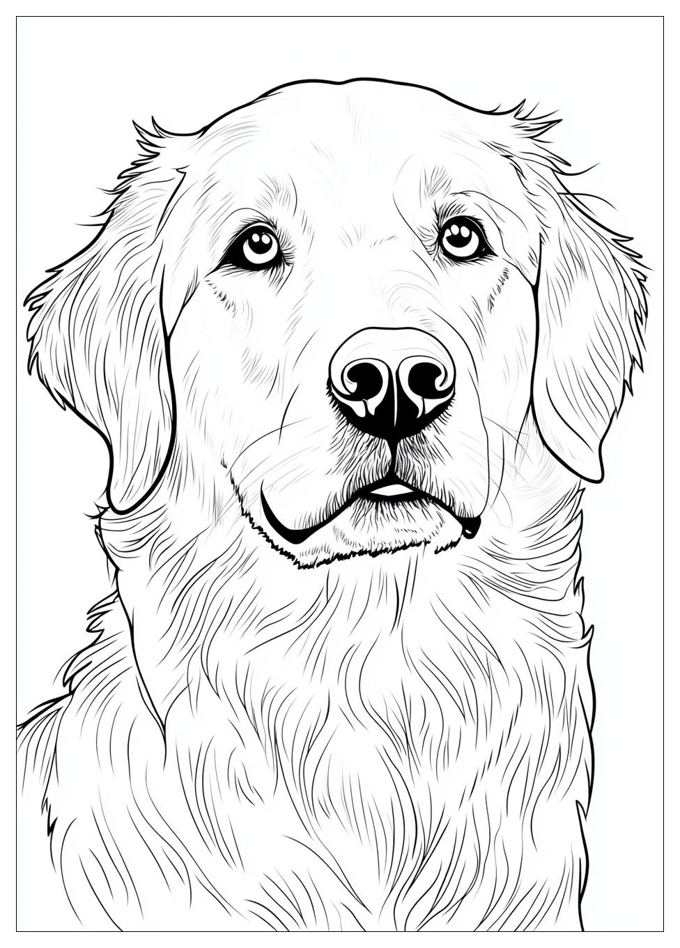 Golden Retriever Coloring Page-12