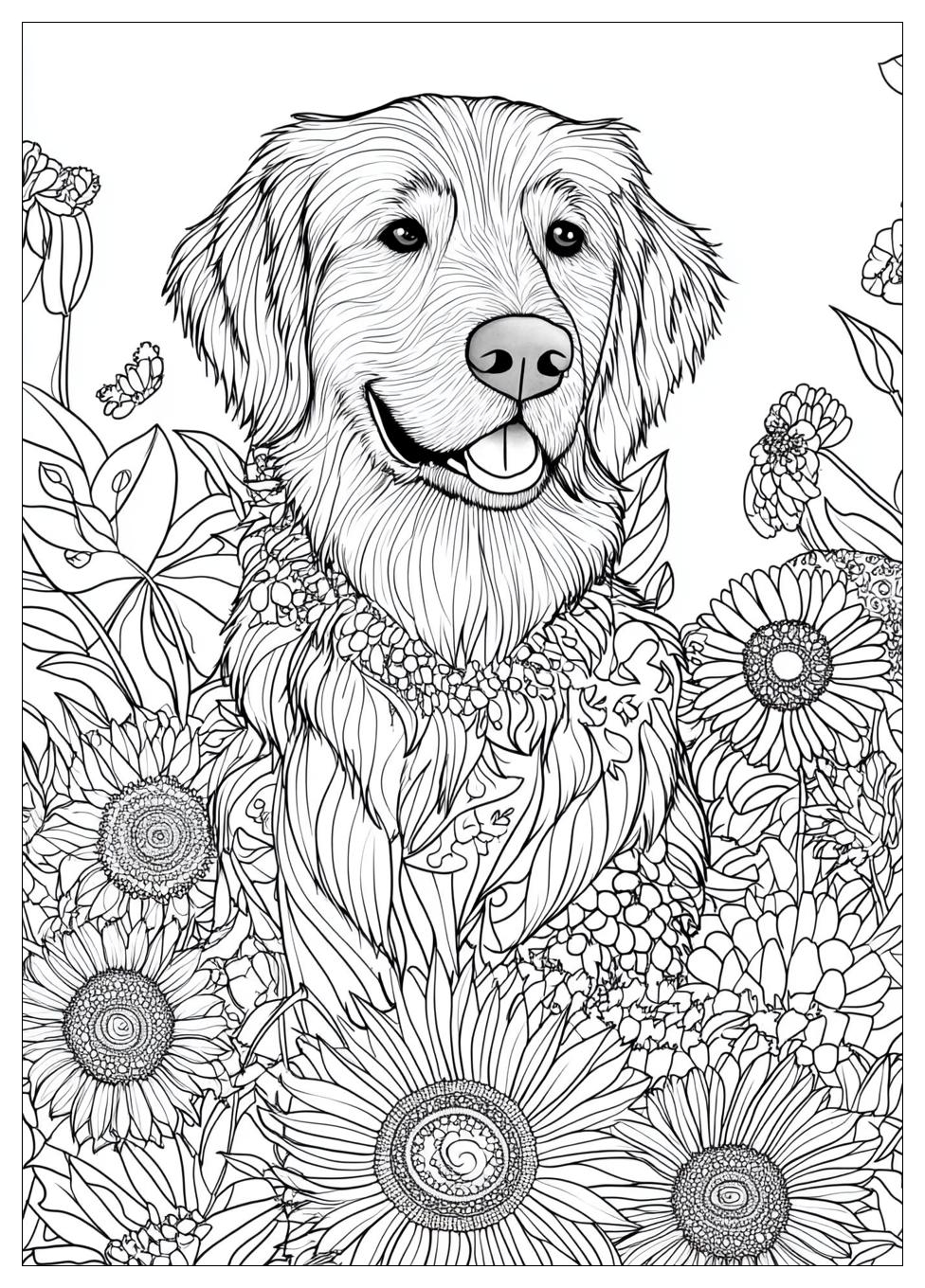 Golden Retriever Coloring Page-13