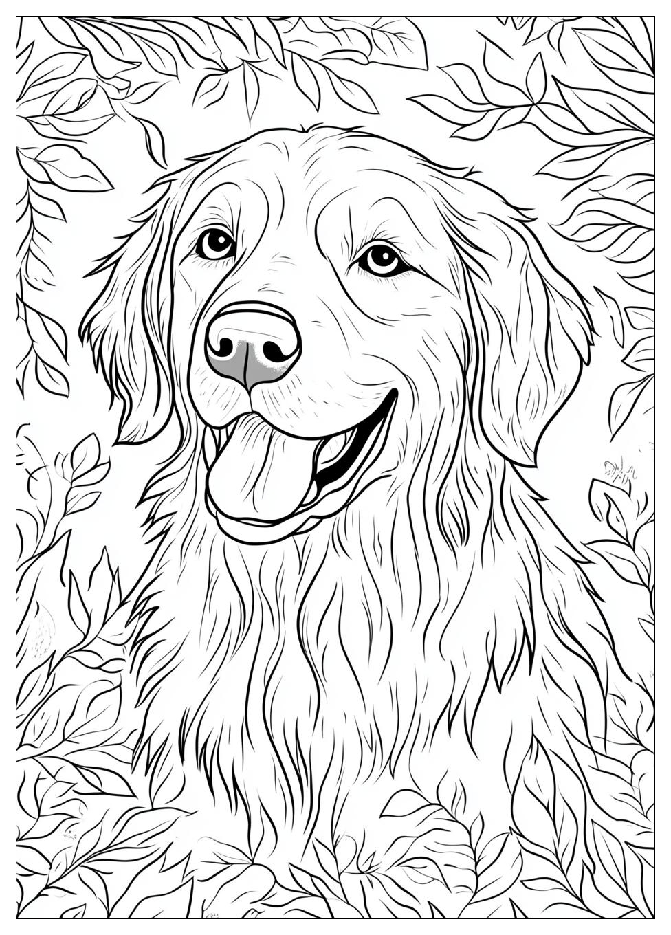 Golden Retriever Coloring Page-14