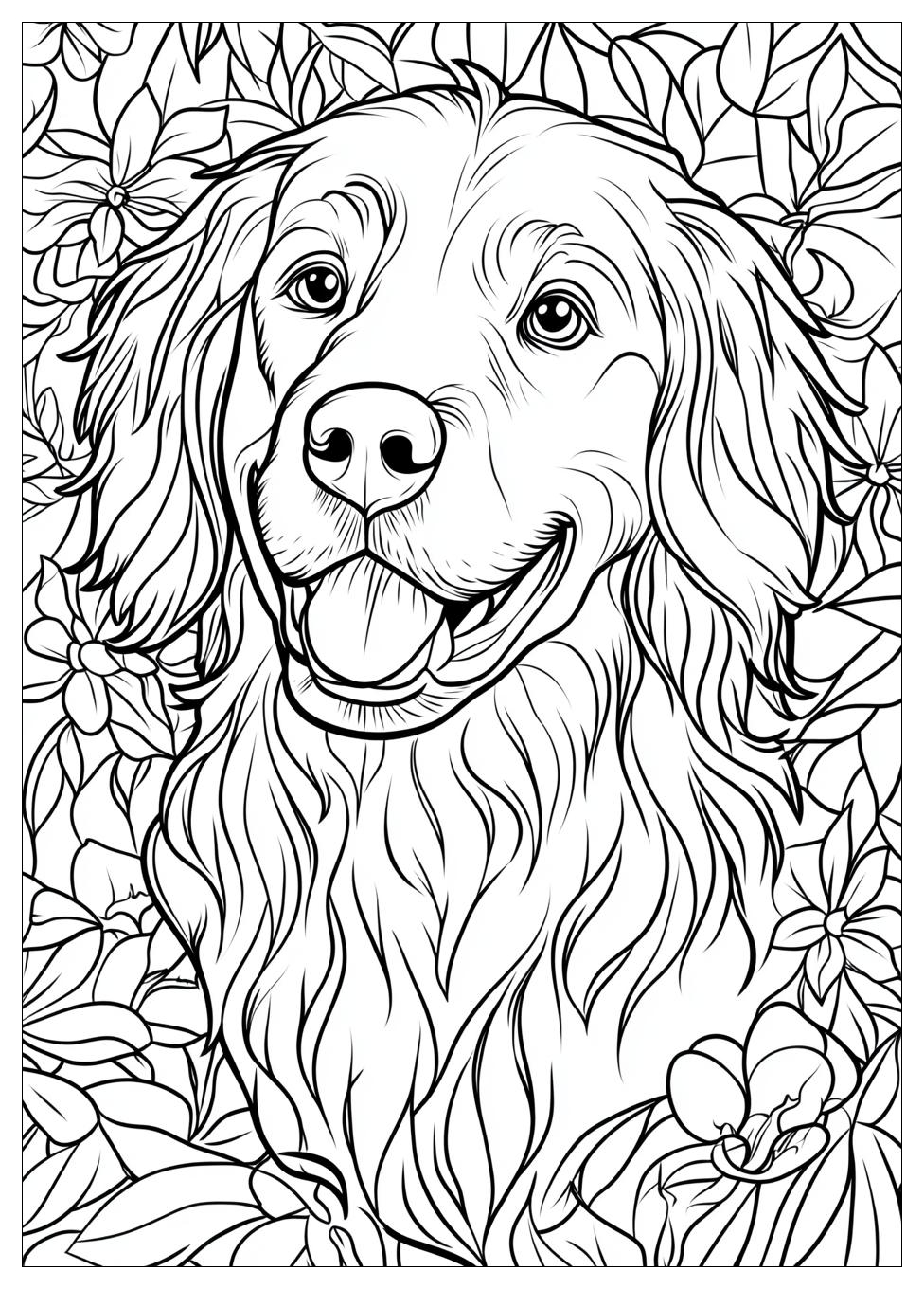 Golden Retriever Coloring Page-15