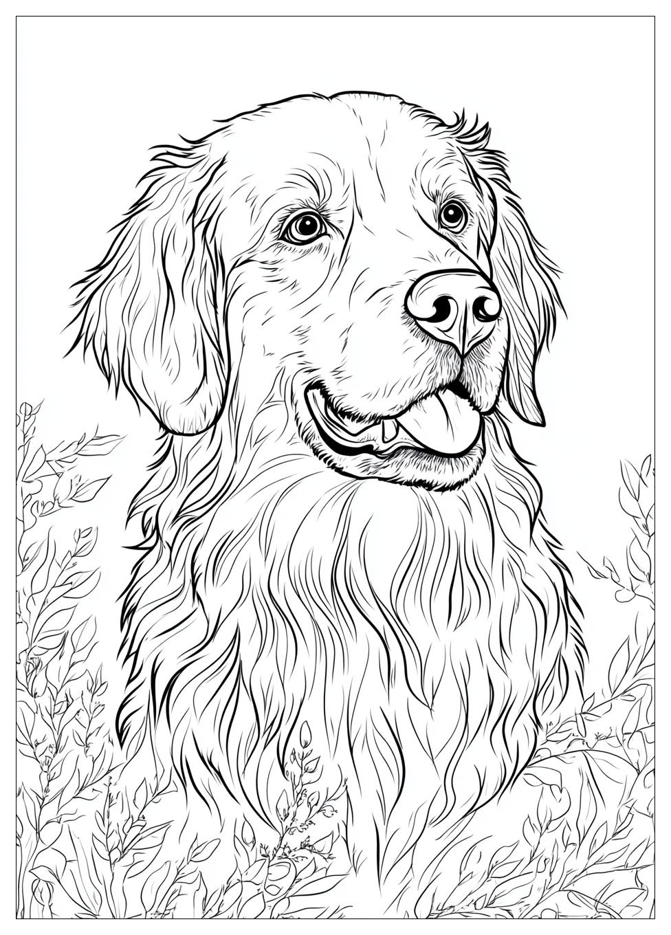 Golden Retriever Coloring Page-16