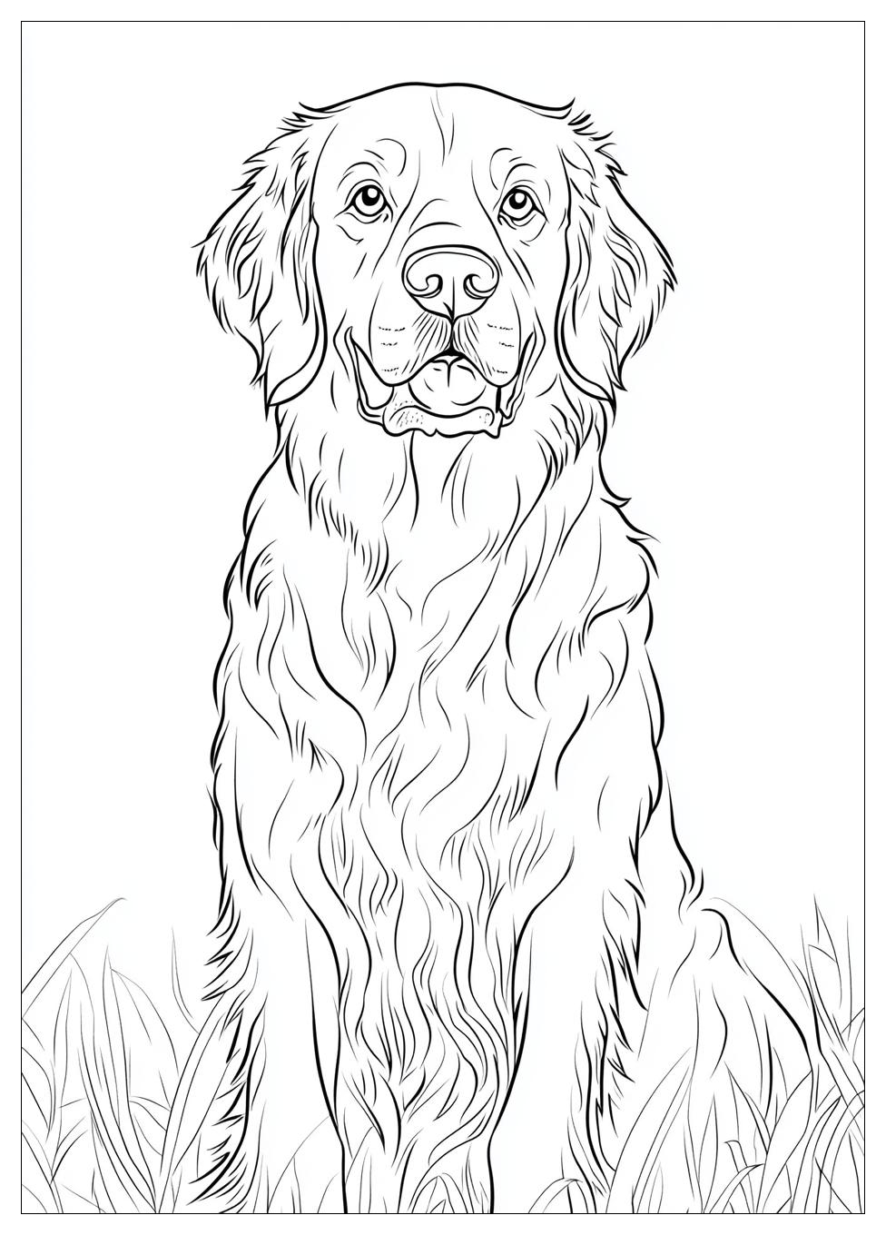 Golden Retriever Coloring Page-17