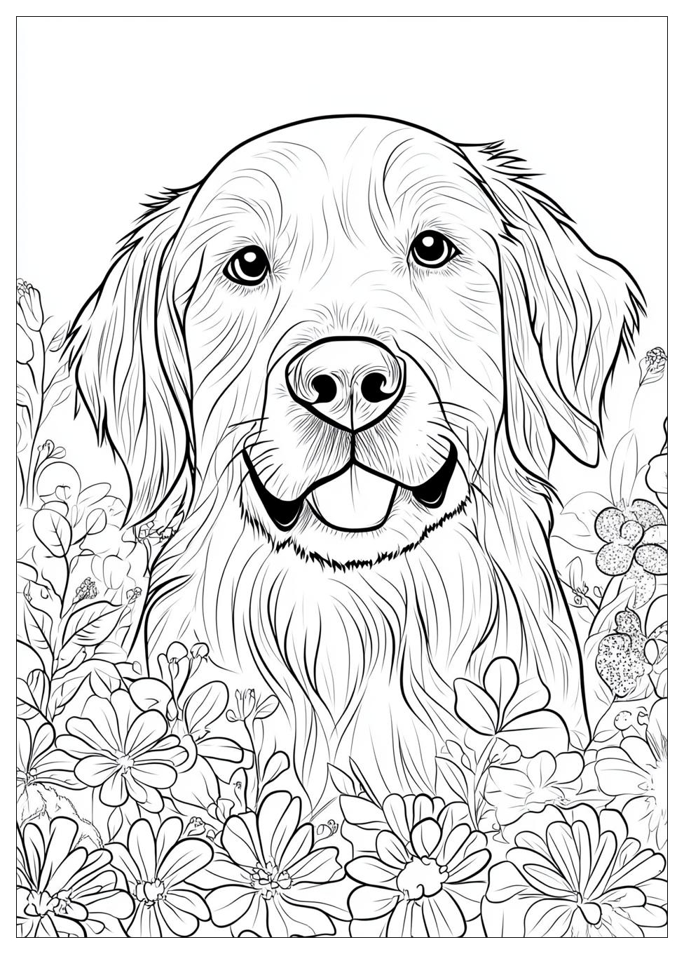 Golden Retriever Coloring Page-18