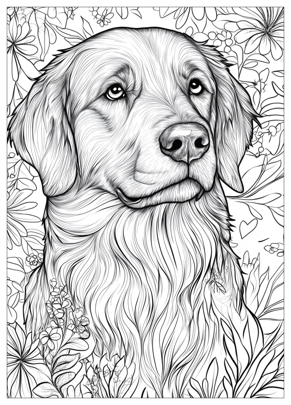 Golden Retriever Coloring Page-19