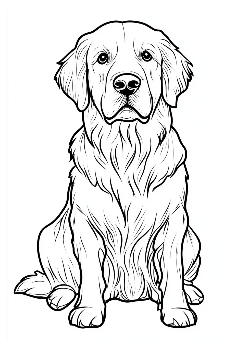 Golden Retriever Coloring Page-2