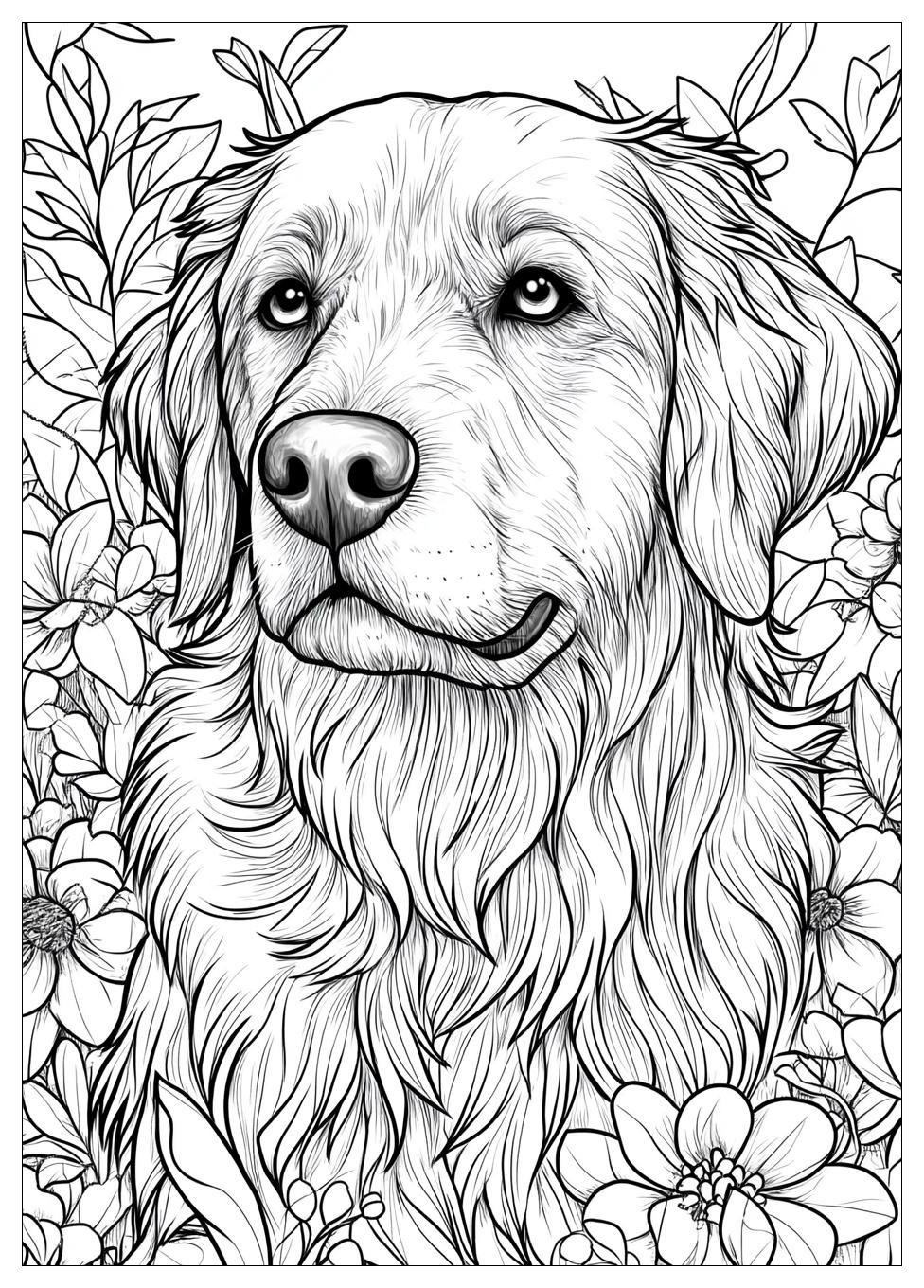 Golden Retriever Coloring Page-20