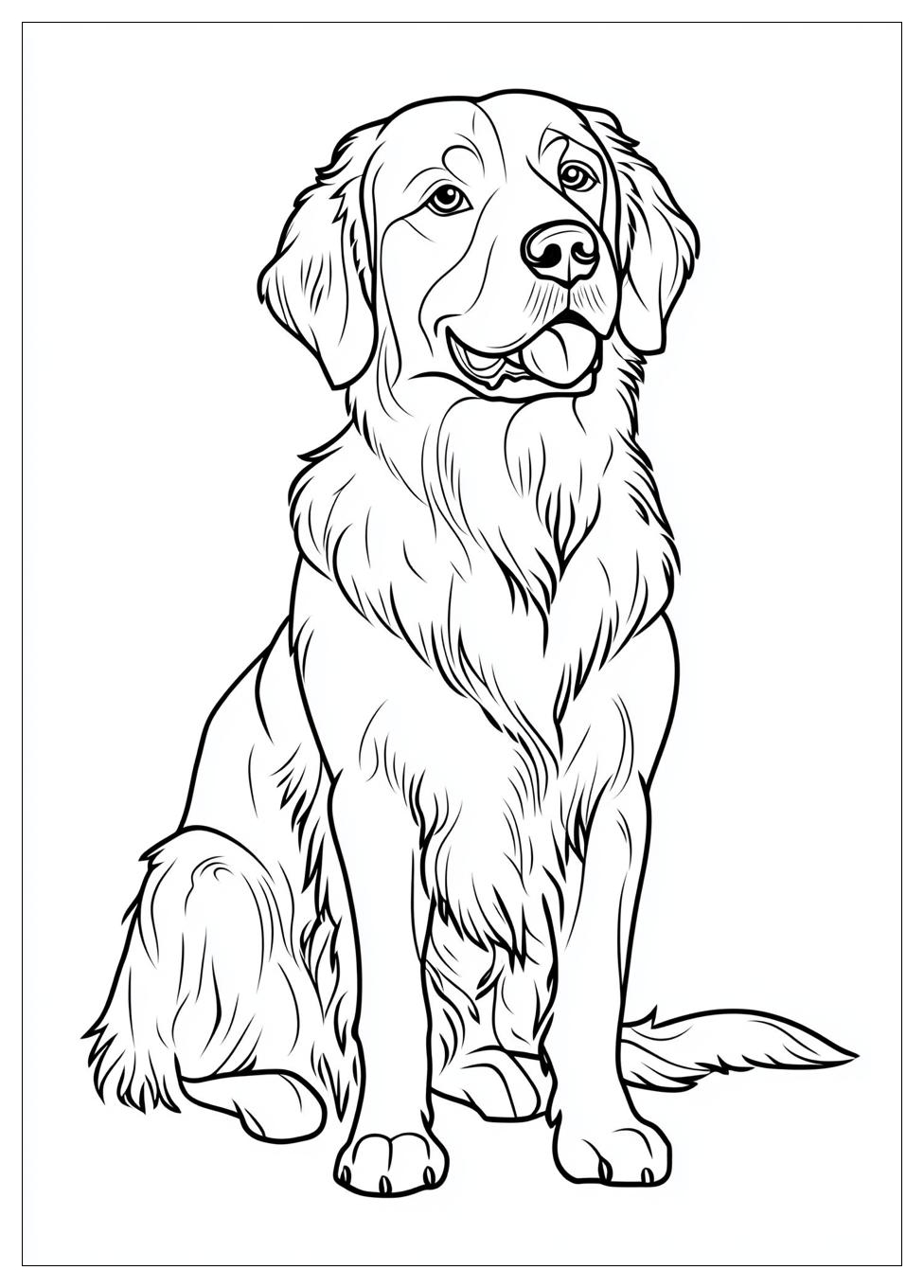 Golden Retriever Coloring Page-3