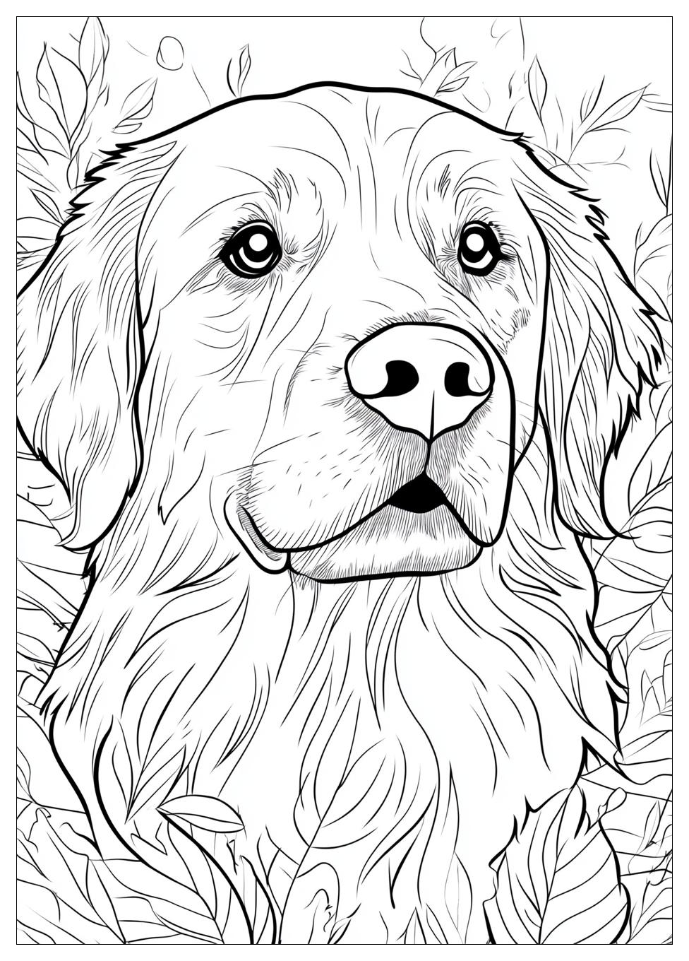 Golden Retriever Coloring Page-5