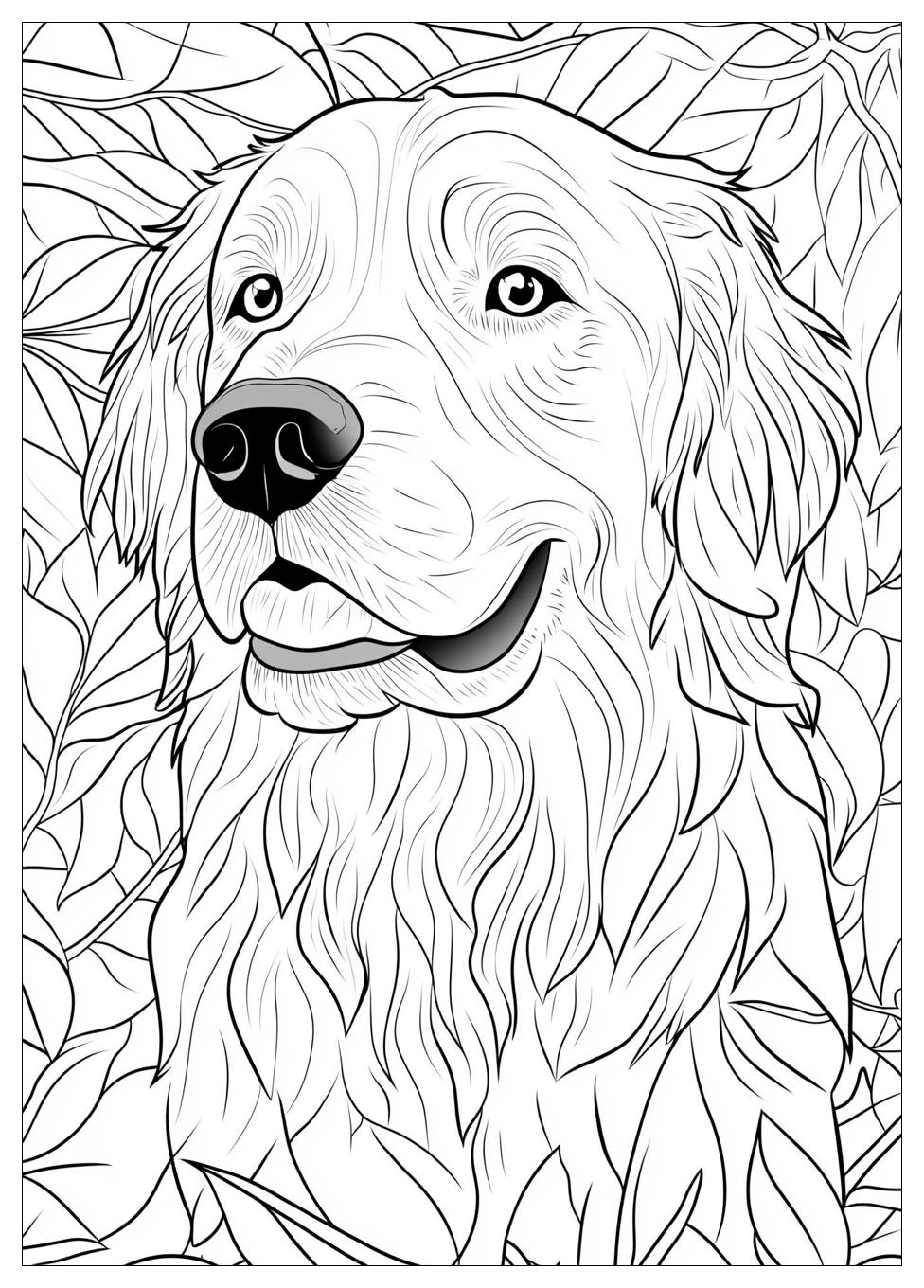 Golden Retriever Coloring Page-6