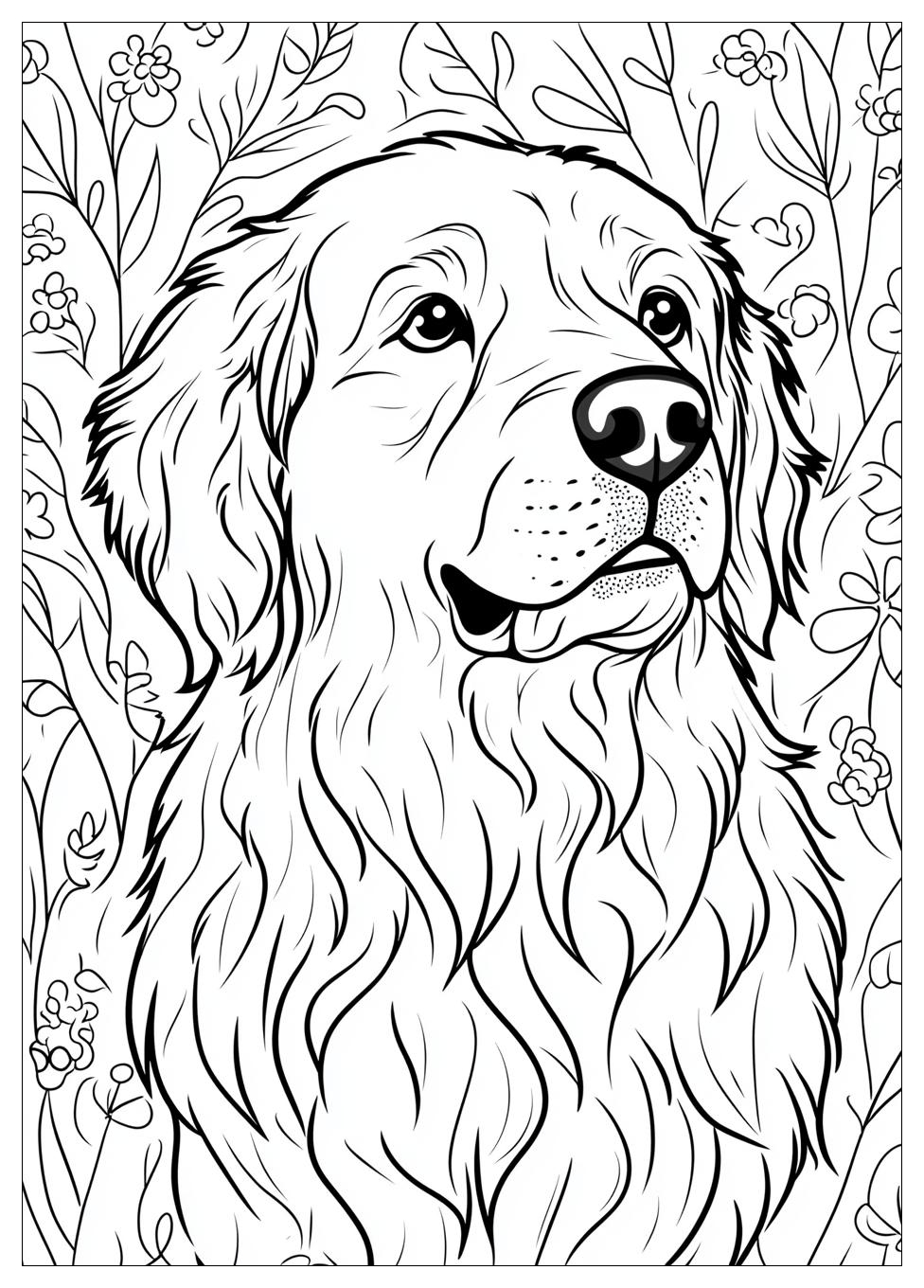 Golden Retriever Coloring Page-8
