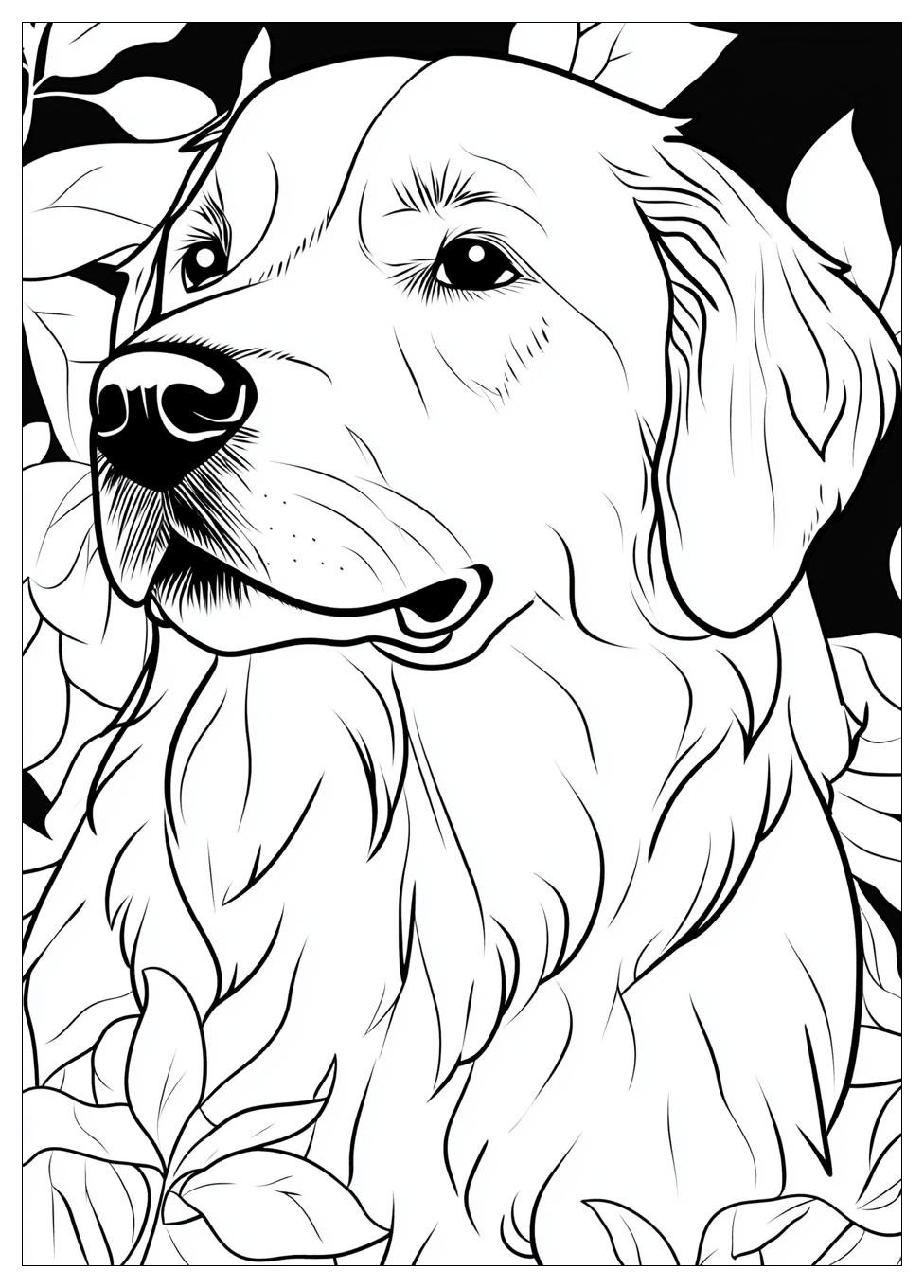 Golden Retriever Coloring Page-9