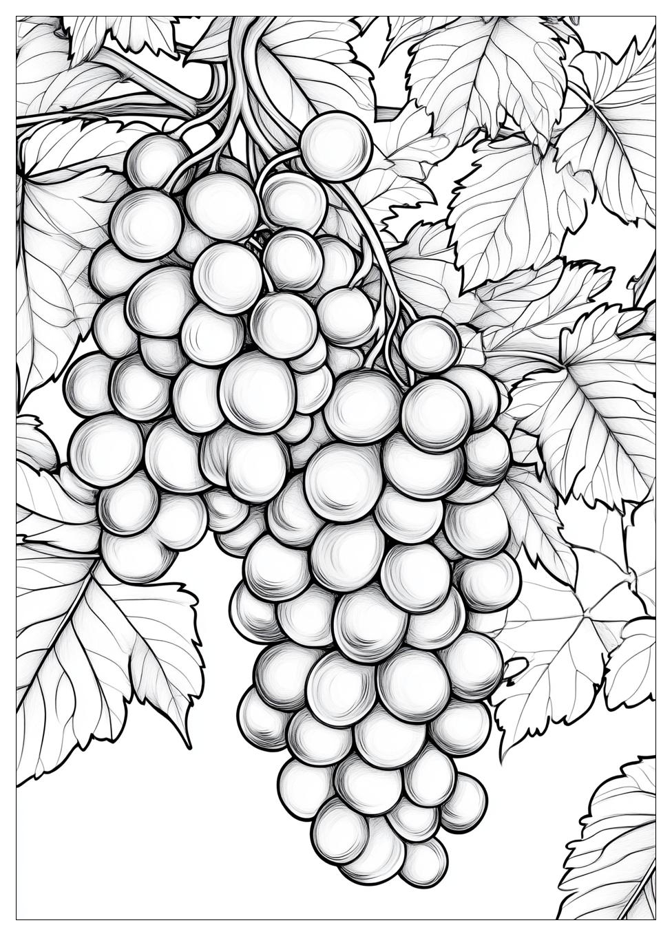 Grapes Coloring Page-17