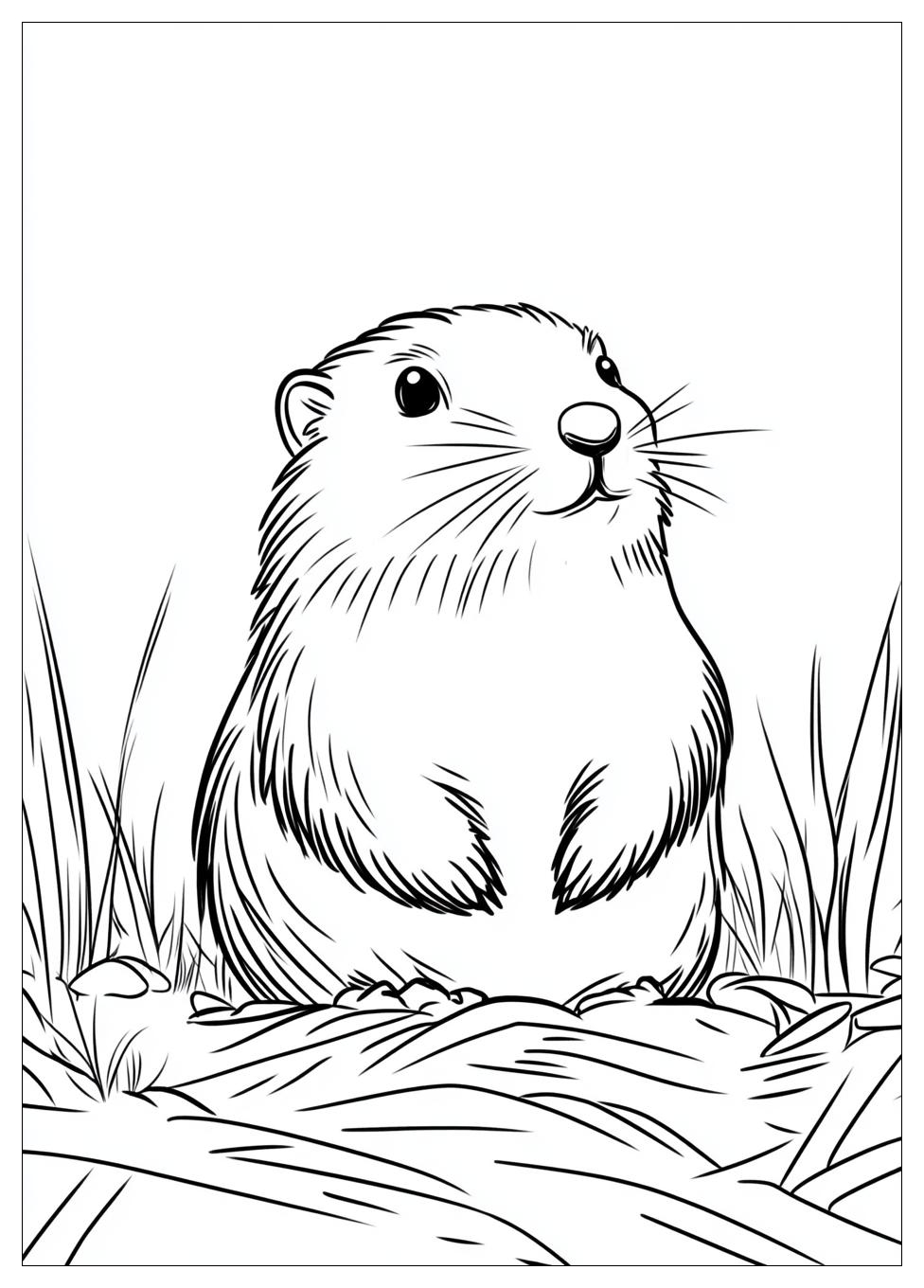 Groundhog Coloring Pages-1