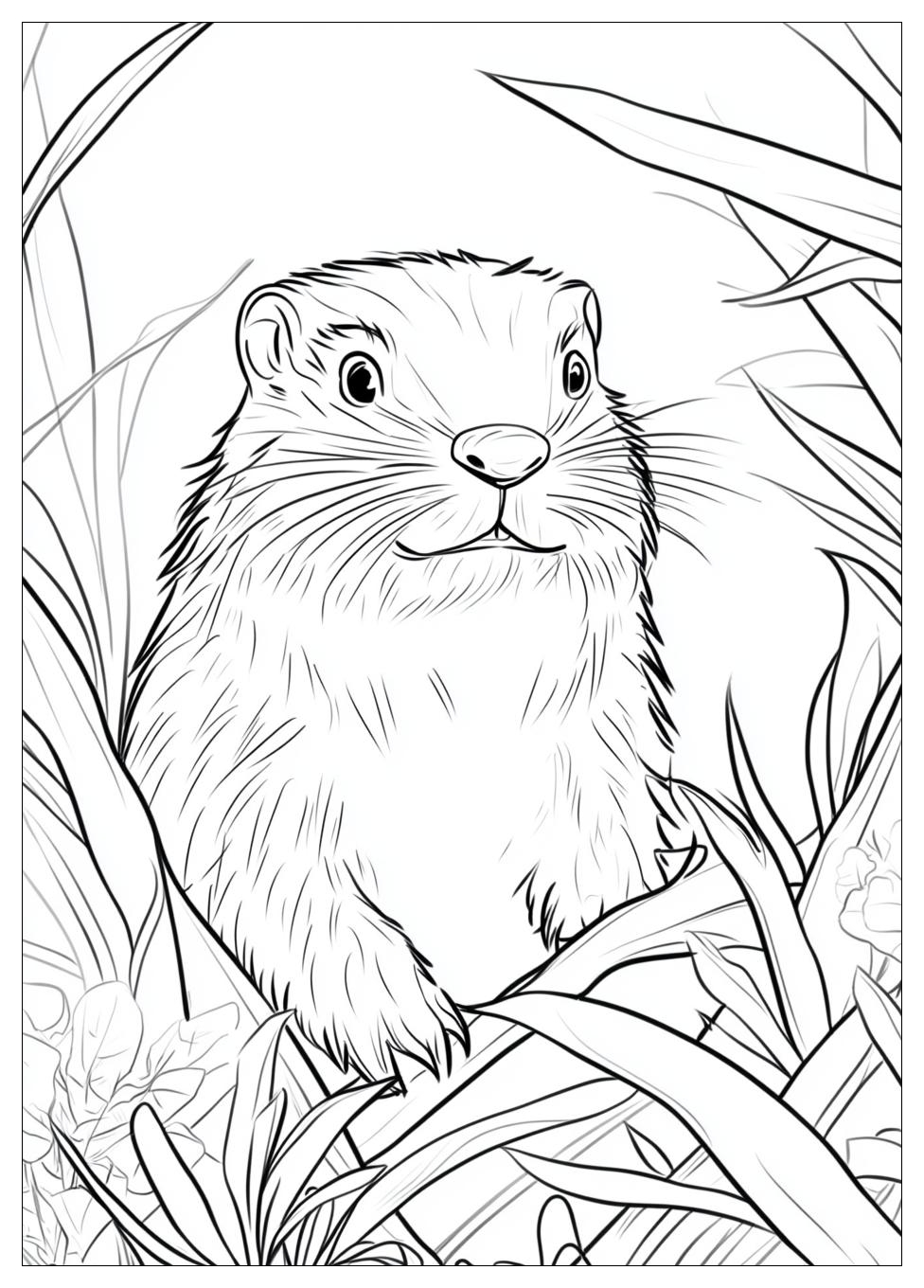 Groundhog Coloring Pages-10
