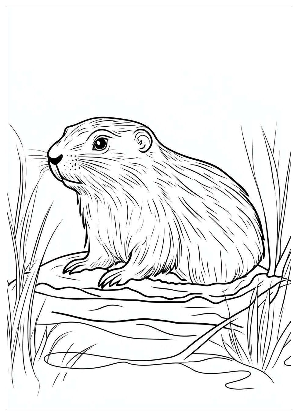Groundhog Coloring Pages-12