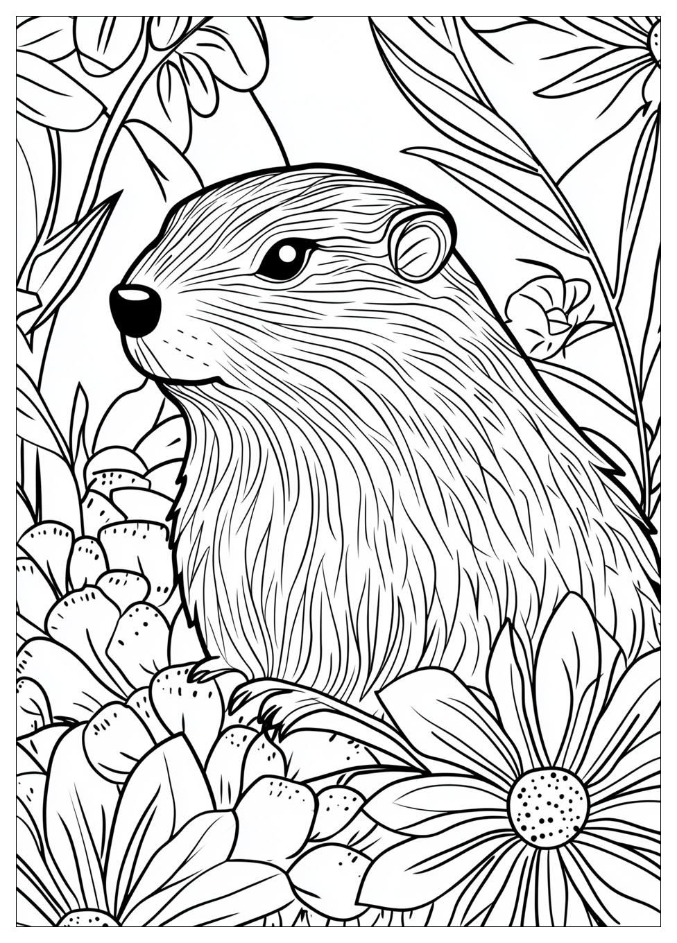 Groundhog Coloring Pages-17