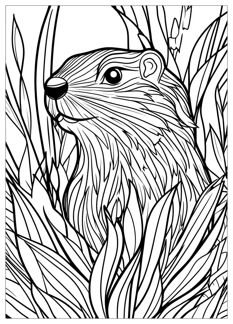 Groundhog Coloring Pages-18