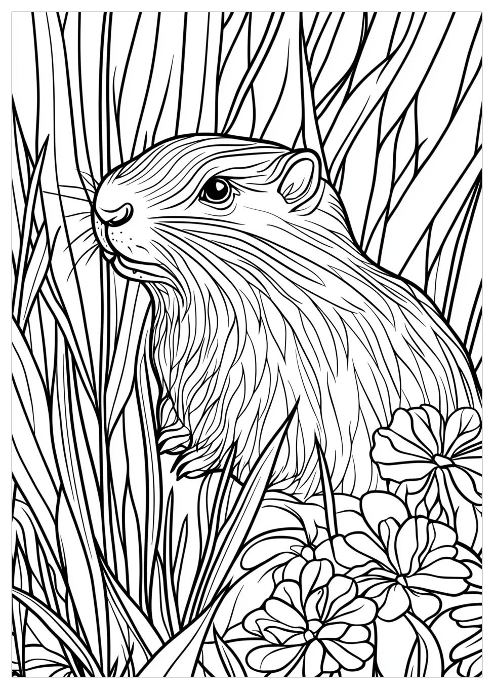 Groundhog Coloring Pages-9