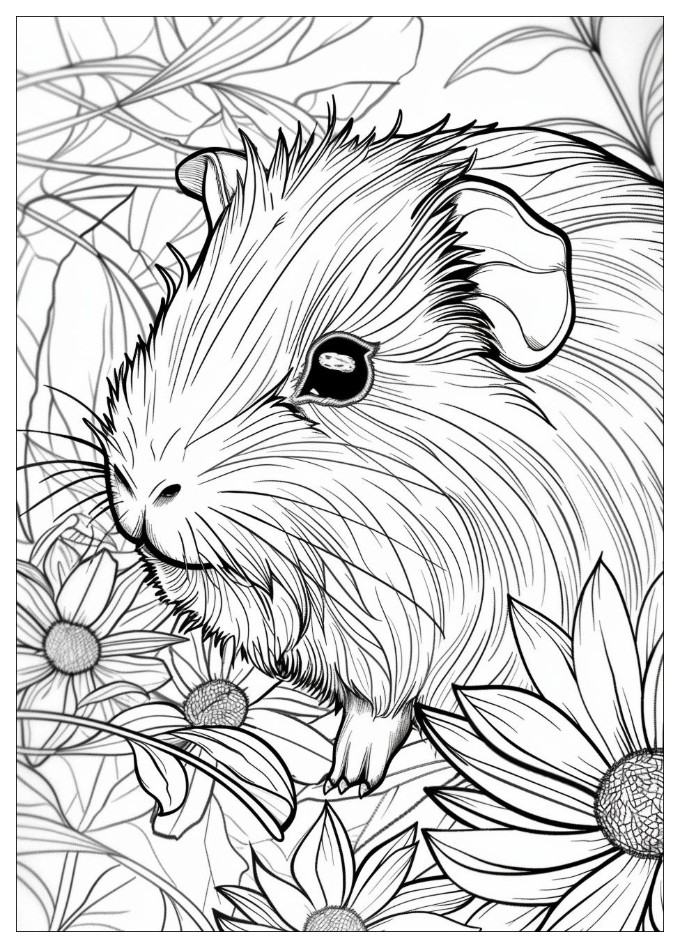 Guinea Pig Coloring Pages-13