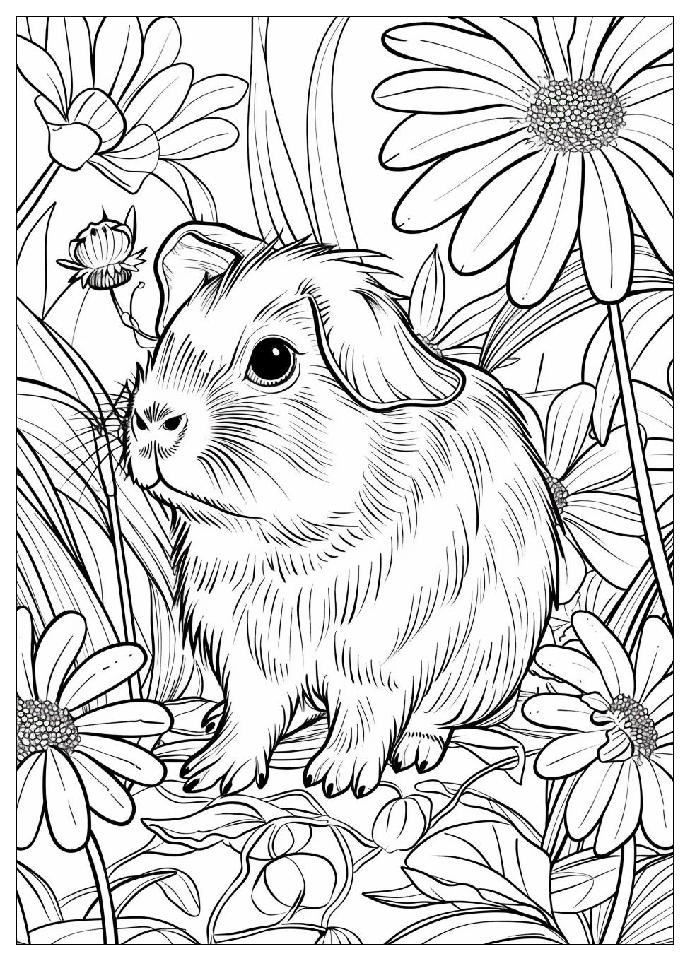 Guinea Pig Coloring Pages-15