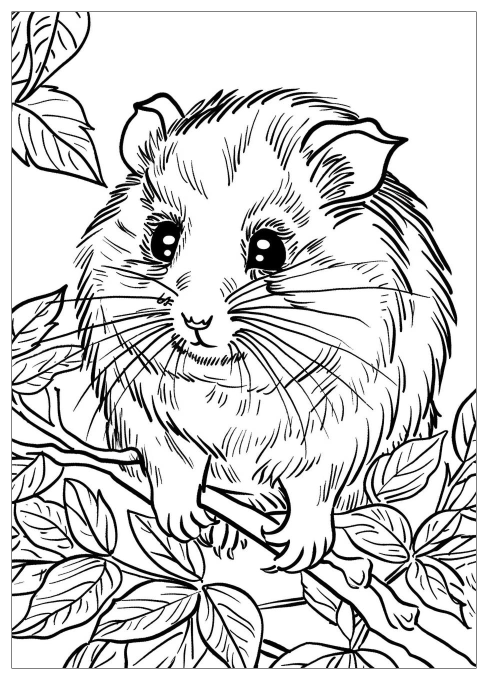 Hamster Coloring Pages-17
