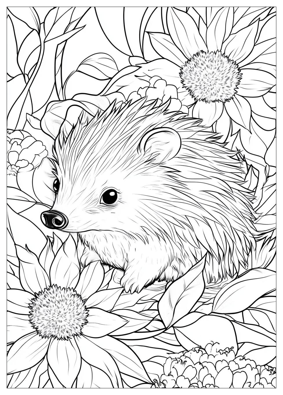 Hedgehog Coloring Pages-13