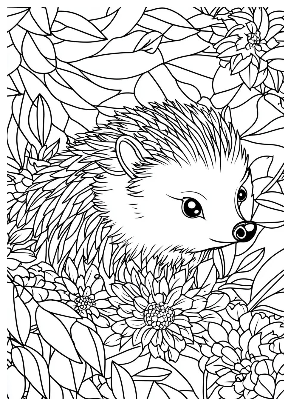 Hedgehog Coloring Pages-18