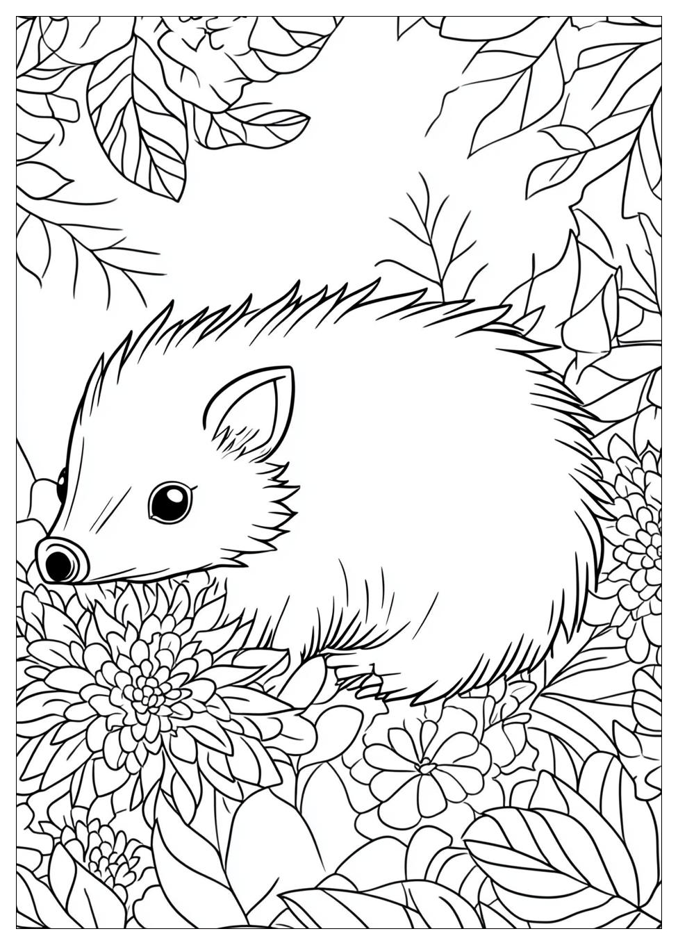 Hedgehog Coloring Pages-3