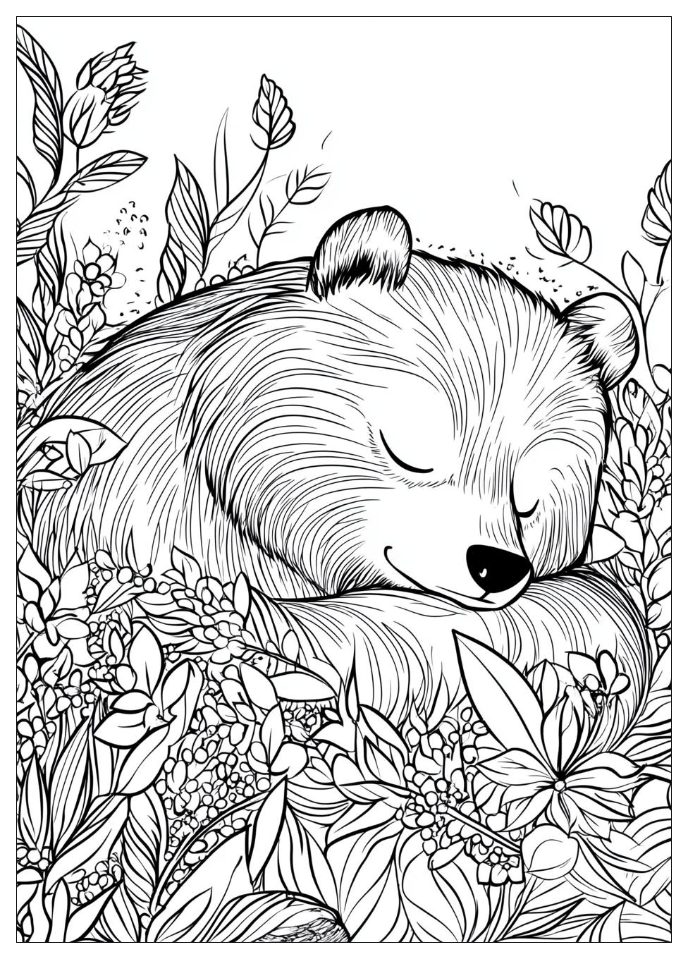 Hibernation Coloring Pages-19