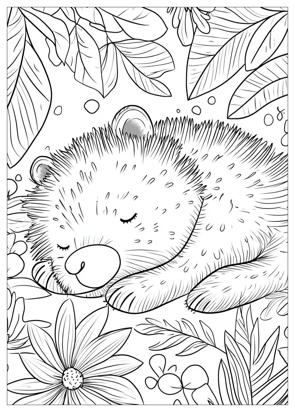 Hibernation Coloring Pages-5