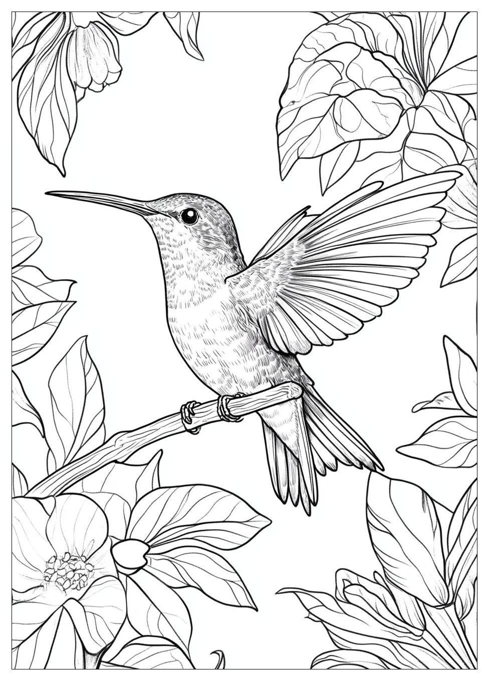Free Printable Hummingbird Coloring Pages 13 Hummingbird Coloring Pages-13