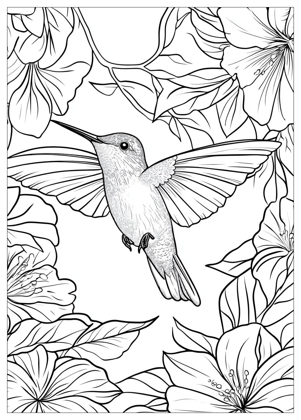 Free Printable Hummingbird Coloring Pages 15 Hummingbird Coloring Pages-15