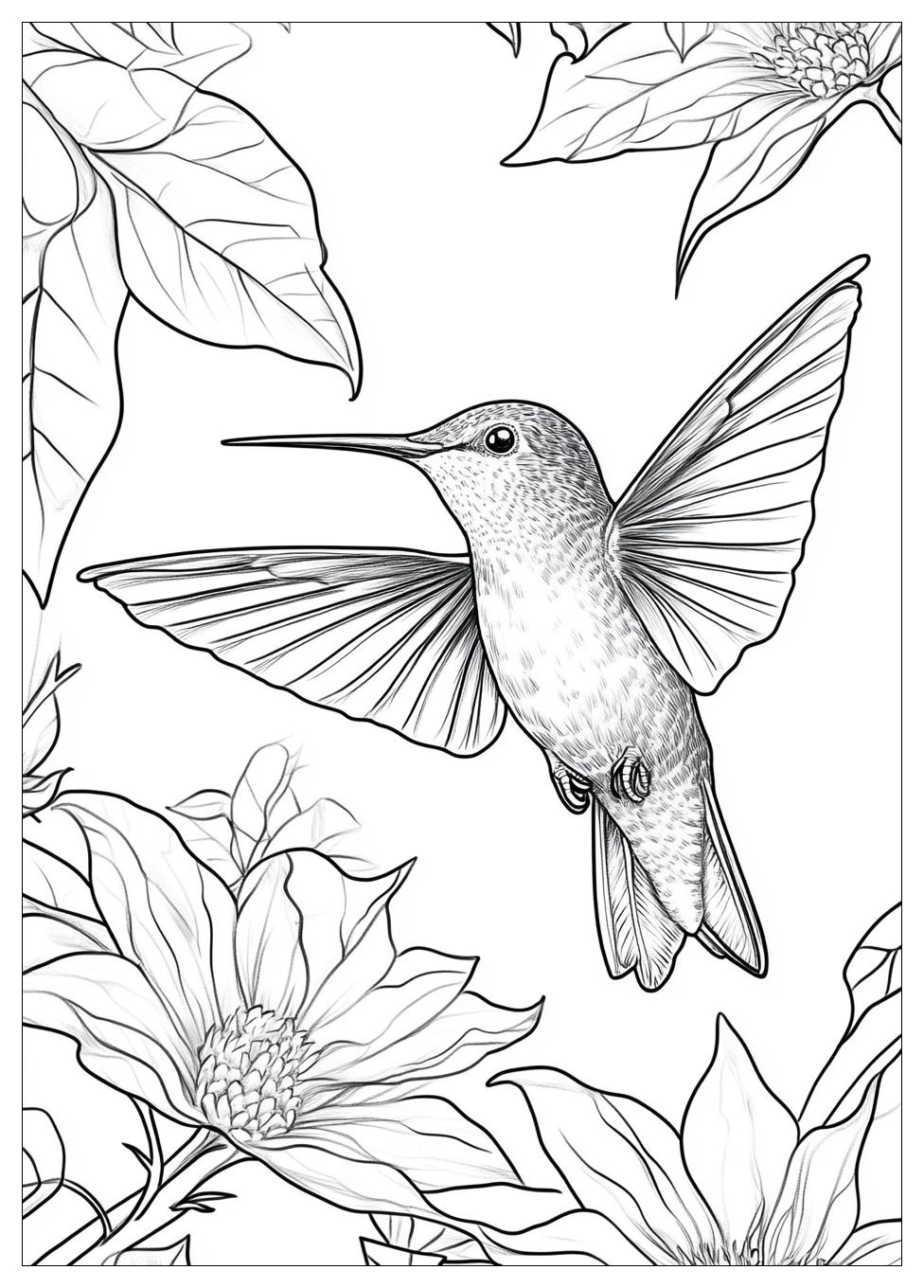 Free Printable Hummingbird Coloring Pages 17 Hummingbird Coloring Pages-17