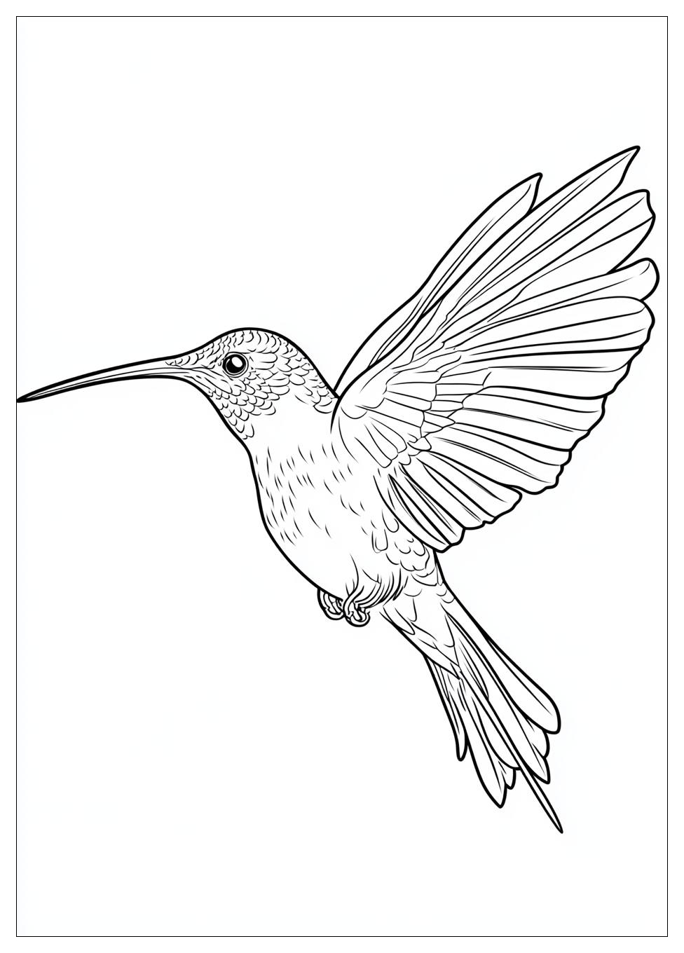 Free Printable Hummingbird Coloring Pages 8 Hummingbird Coloring Pages-8