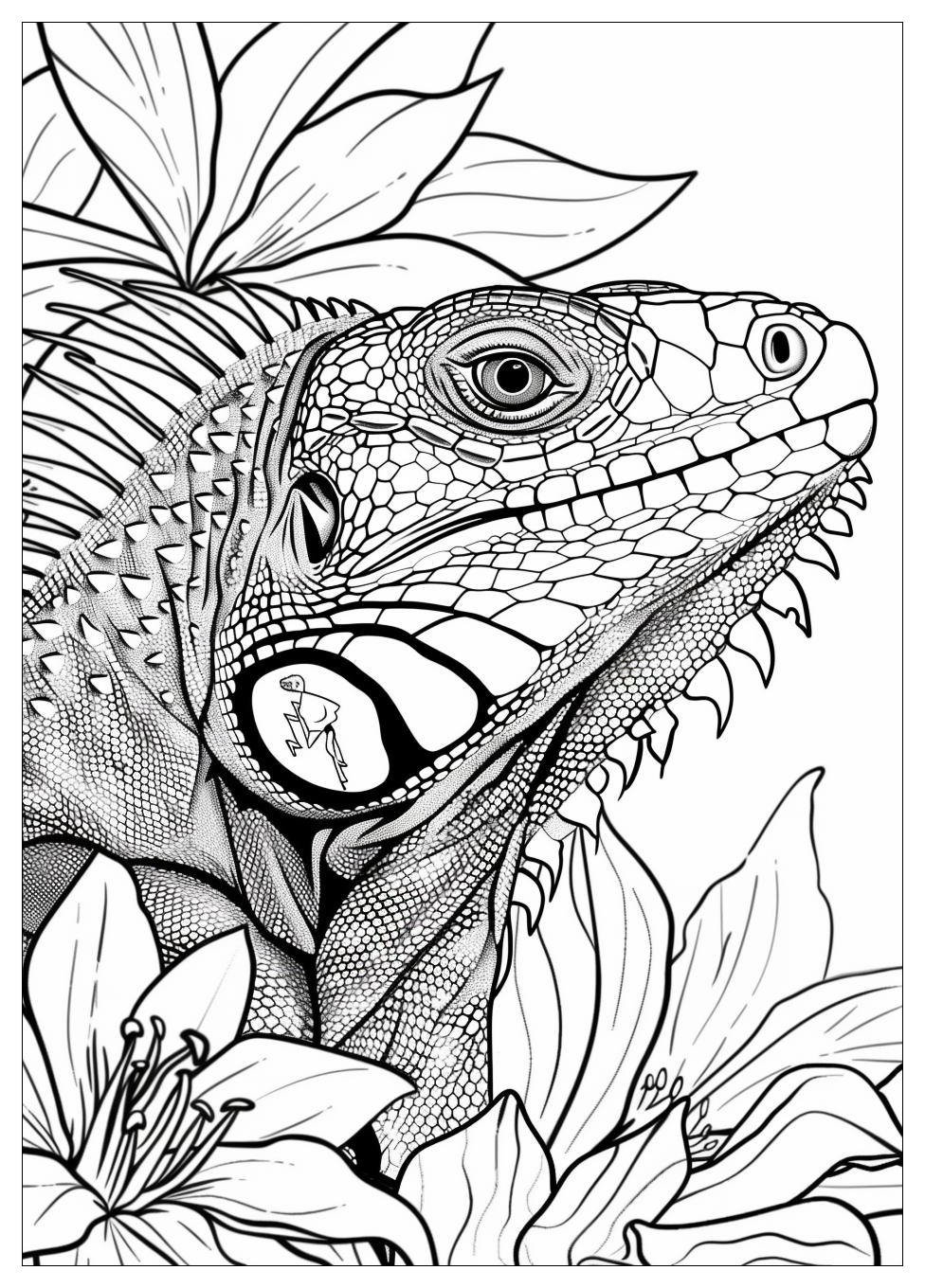 Iguana Coloring Pages-1