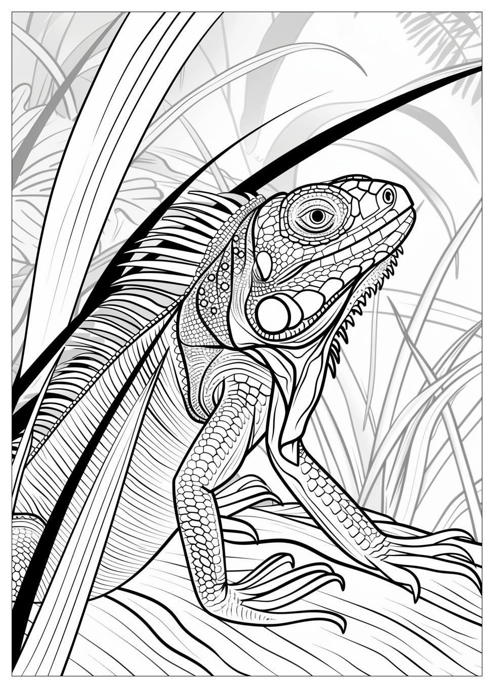 Iguana Coloring Pages-10