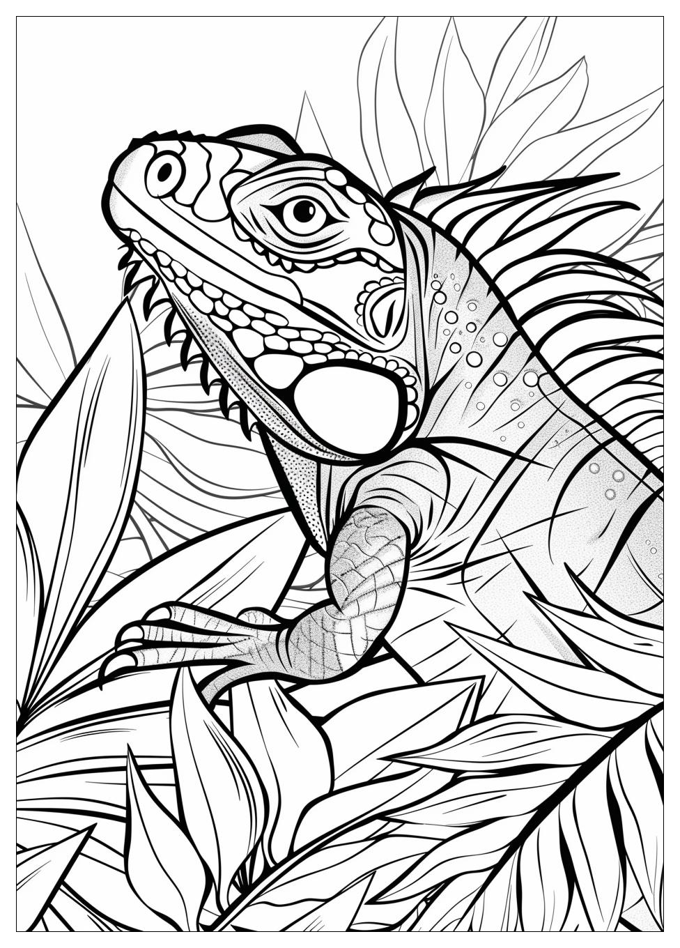 Iguana Coloring Pages-11