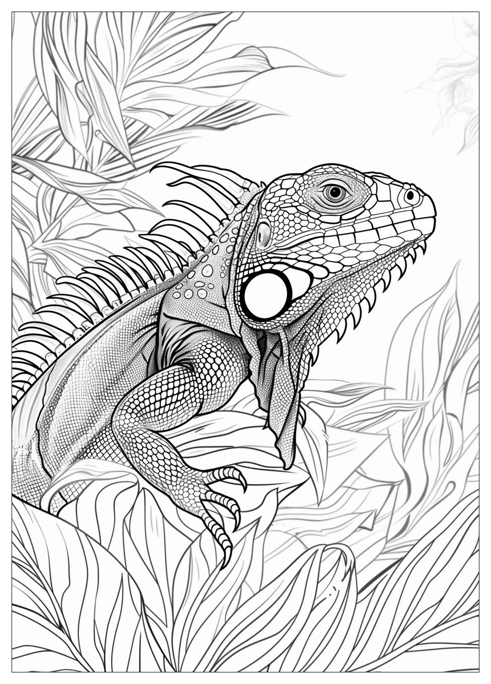 Iguana Coloring Pages-13