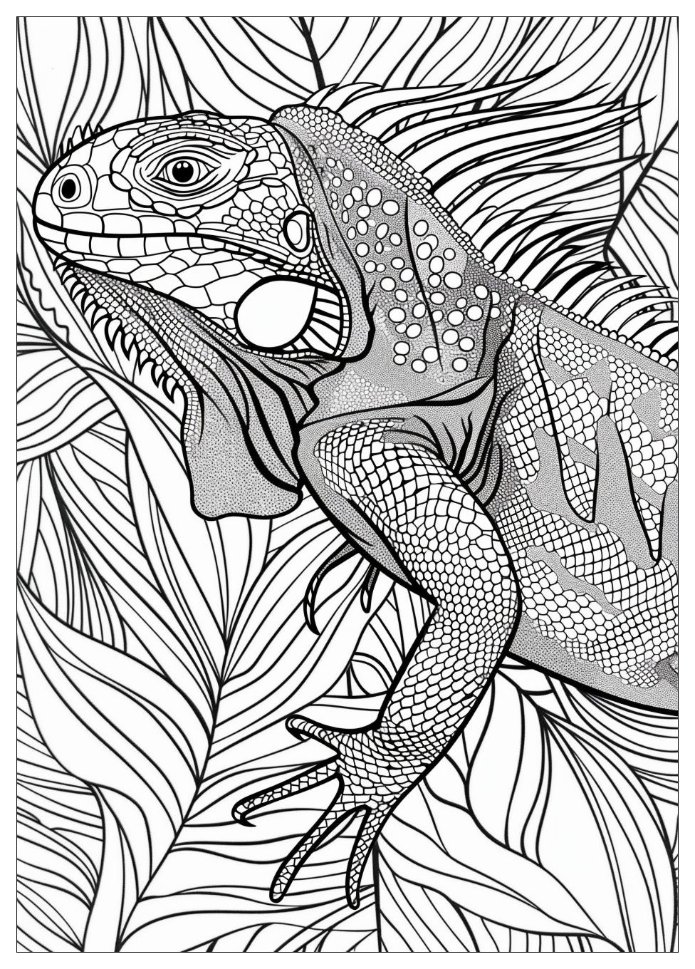 Iguana Coloring Pages-14