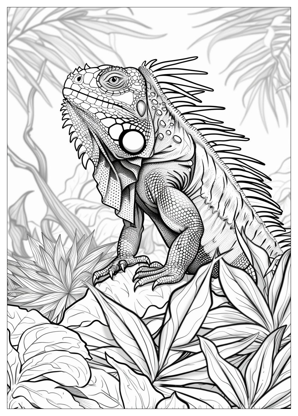 Iguana Coloring Pages-15