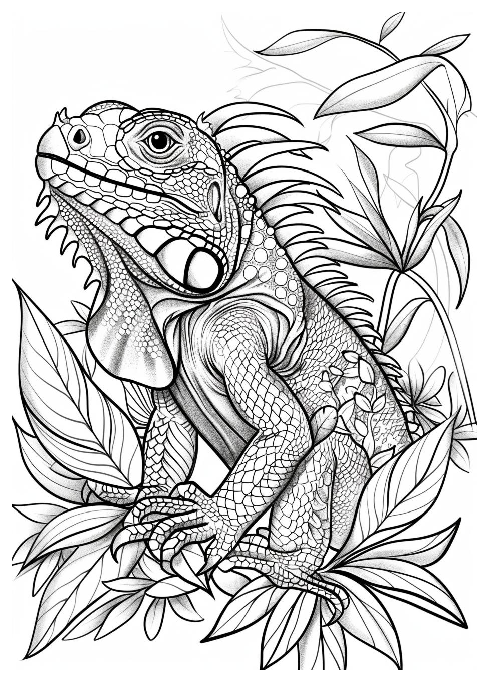 Iguana Coloring Pages-16