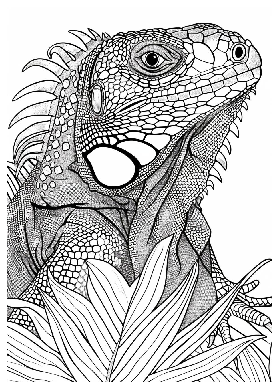 Iguana Coloring Pages-17