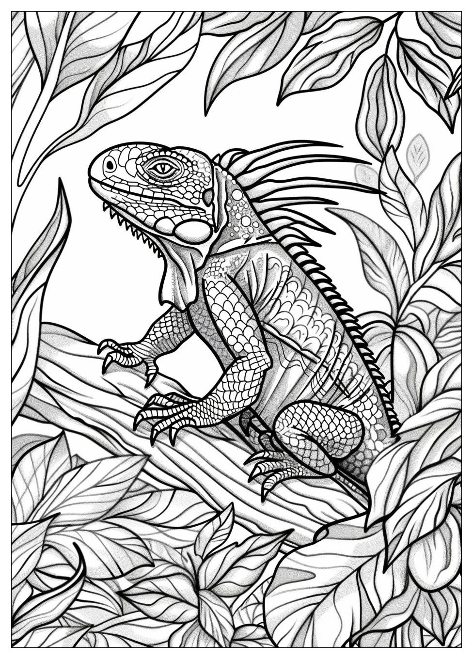 Iguana Coloring Pages-18