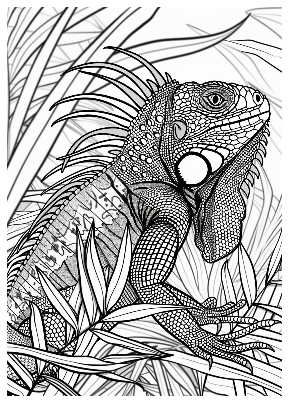 Iguana Coloring Pages-19