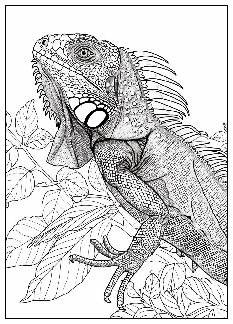 Iguana Coloring Pages-20