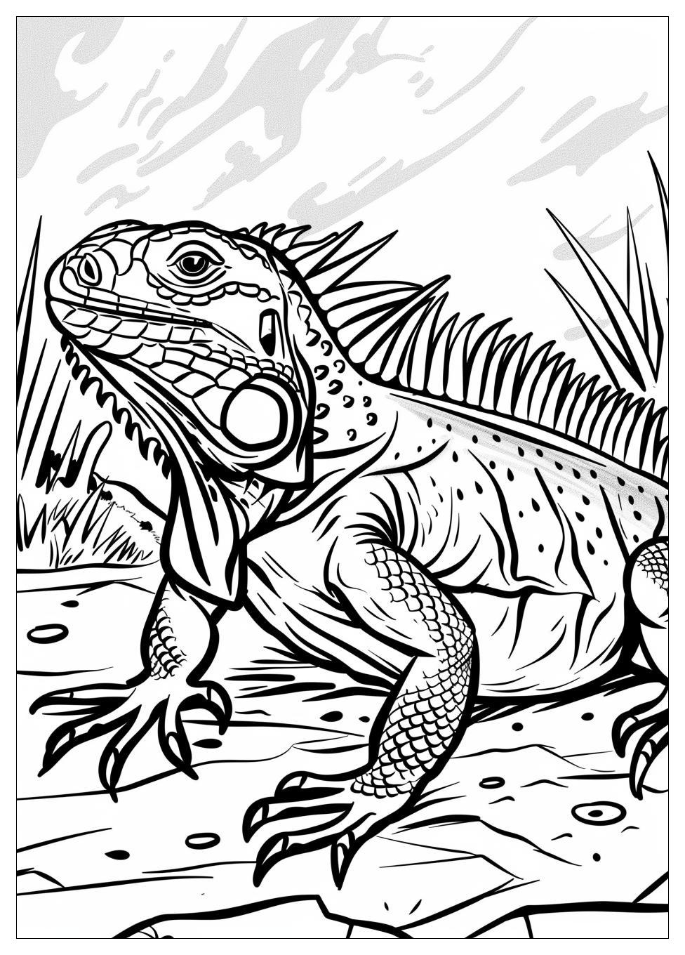Iguana Coloring Pages-4